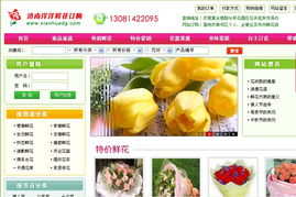 濟南網(wǎng)站建設(shè)與優(yōu)化服務(wù)全解析 從制作到推廣再到備案