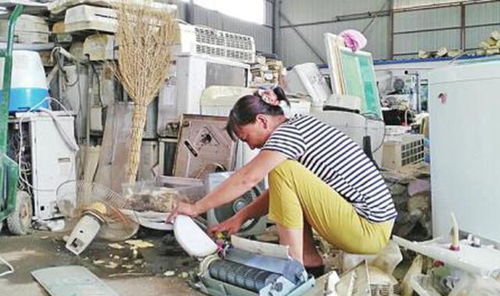 舊家電轉(zhuǎn)手幾十元？他人變廢為寶收入豐厚，多數(shù)人竟不知曉